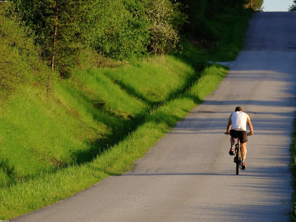 ការប្រើប្រាស់ក្នុងចរាចរ