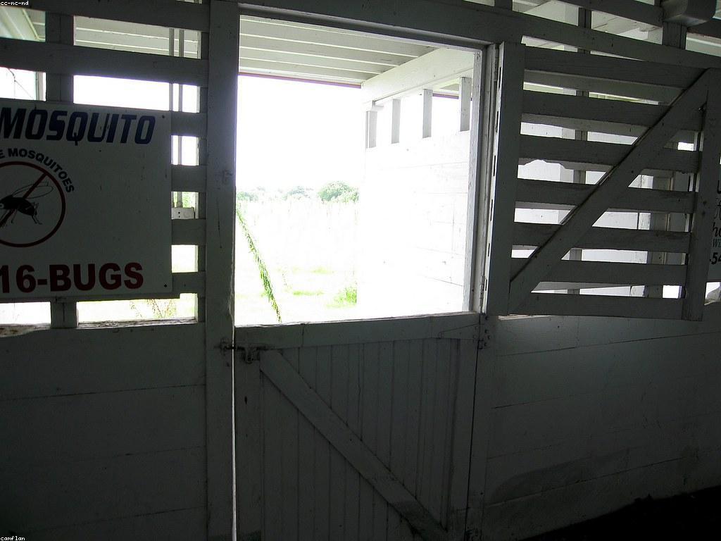 ការបើកបរដើម៖ គន្លឹះសំខាន់ៗសម្រាប់ការបើកកាលបរិច្ឆេទឱ្យជោគជ័យ