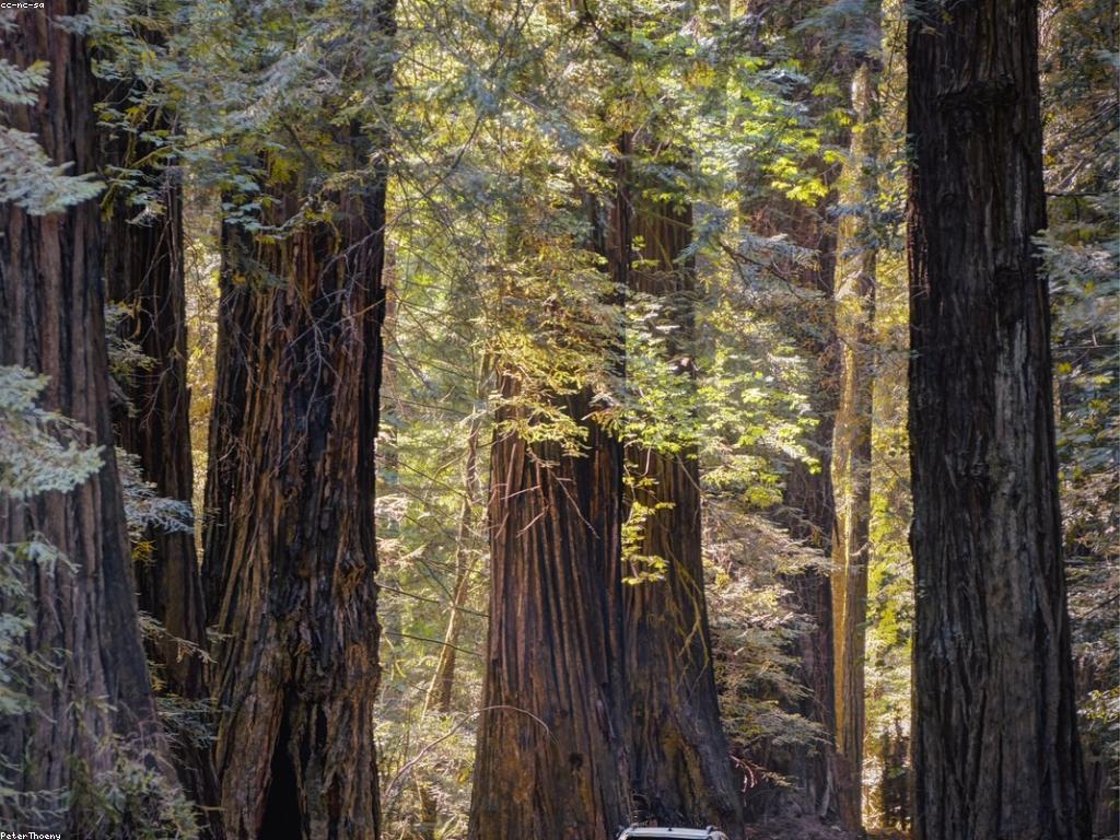 ចំណេះដឹងអំពីការបើកបរដើមសម្រាប់អ្នកថ្មី