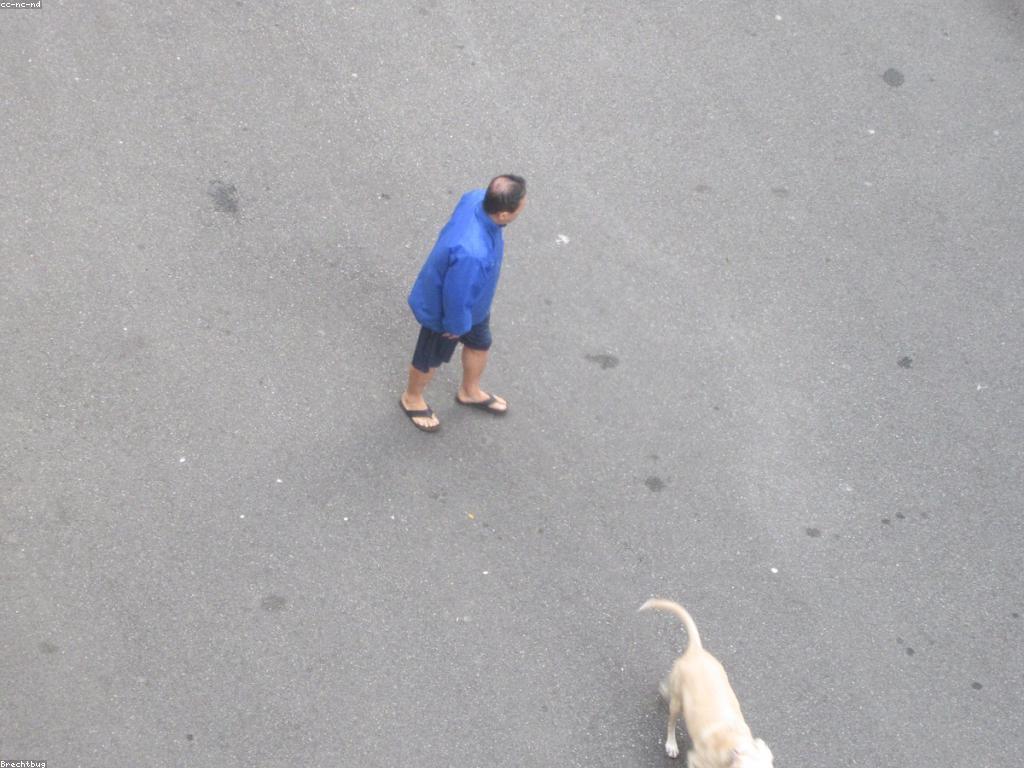 យុទ្ធសាស្ត្រលេង: យុទ្ធសាស្ត្រដើម្បីគោលដៅឈ្នះ